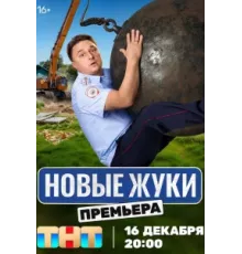 Жуки (1-4)