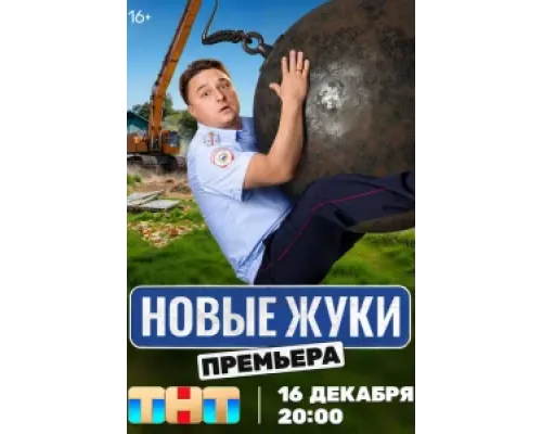 Жуки Жуки